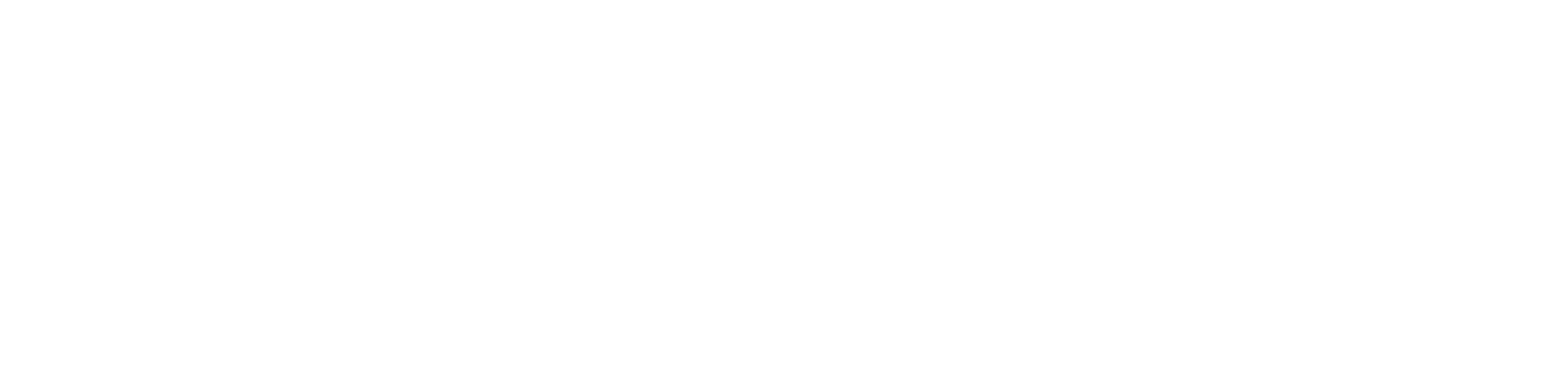 Beston Group Logo 2022