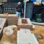 Installation of BTF6-8 Beston Egg Tray Making Machine in India in 2023