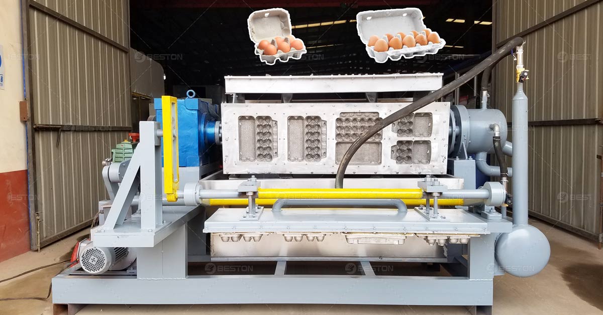Egg Crate Making Machine for Sale Price from Manufacturer