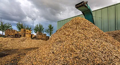 Sawmill Logging Waste