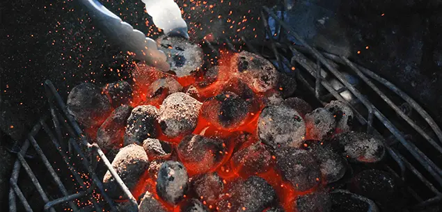 Coconut Shell Charcoal for Daily Use