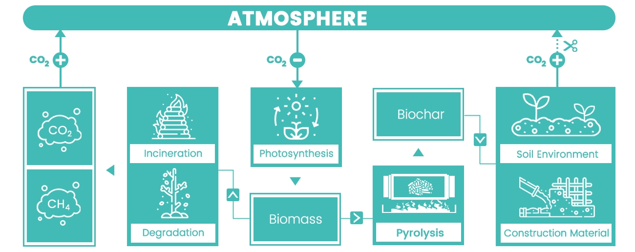 How Biochar Achieves Carbon Removal