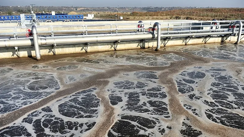 "Oil