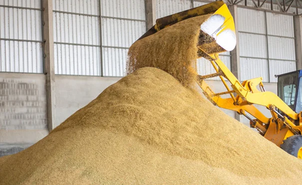 Agricultural Processing Plants