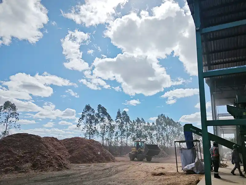 Eucalyptus Wood Chips and Bamboo Piles