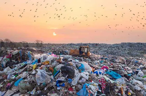 Plastic Waste Pollution