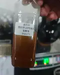 Oil sample