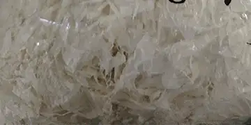 LDPE plastic mulching film