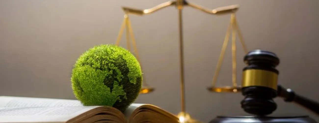 Regulatory Hurdles & Compliance Barriers