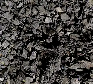 Charcoal From Coconut Shells