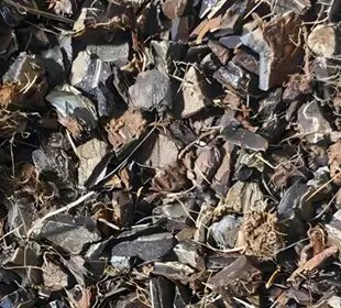 Charcoal Production From Coconut Shells