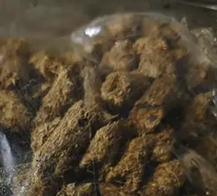 Charcoal Production From EFB Pellets
