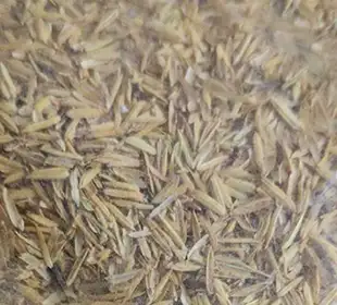 Charcoal Production From Rice Husk