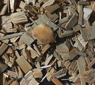 Charcoal Production From Wood Chips