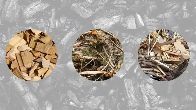 Woody Bionass for Charcoal Making